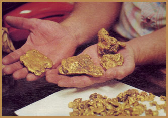gold prospecting