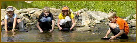 California Gold Panning - Home